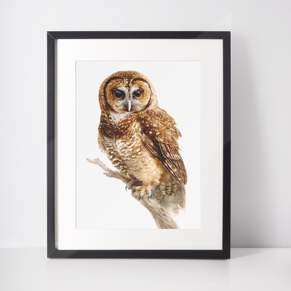 Watercolor Northern Saw-whet Owl Portrait Wall Art Print Poster, Unframed - Picture 3 of 6